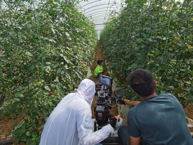 独山子区产品宣传视频拍摄公司进阶指南，助力品牌抢占传播高地